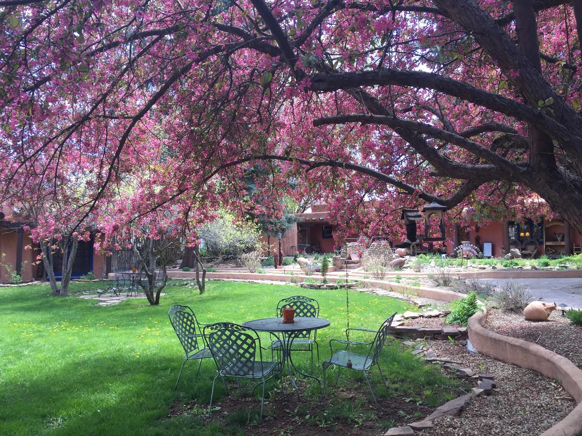 Ranchos de Taos Adobe And Pines Inn Bed And Breakfast מראה חיצוני תמונה
