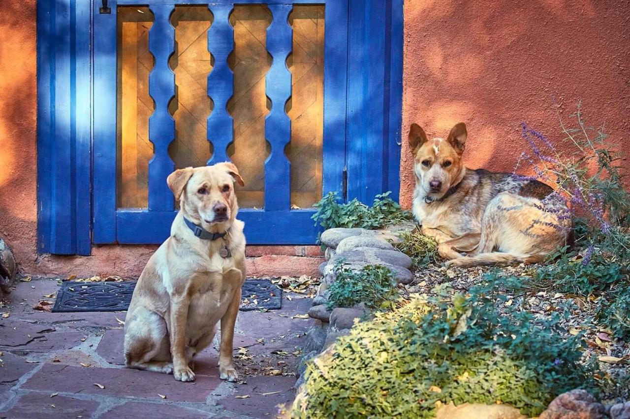 Ranchos de Taos Adobe And Pines Inn Bed And Breakfast מראה חיצוני תמונה